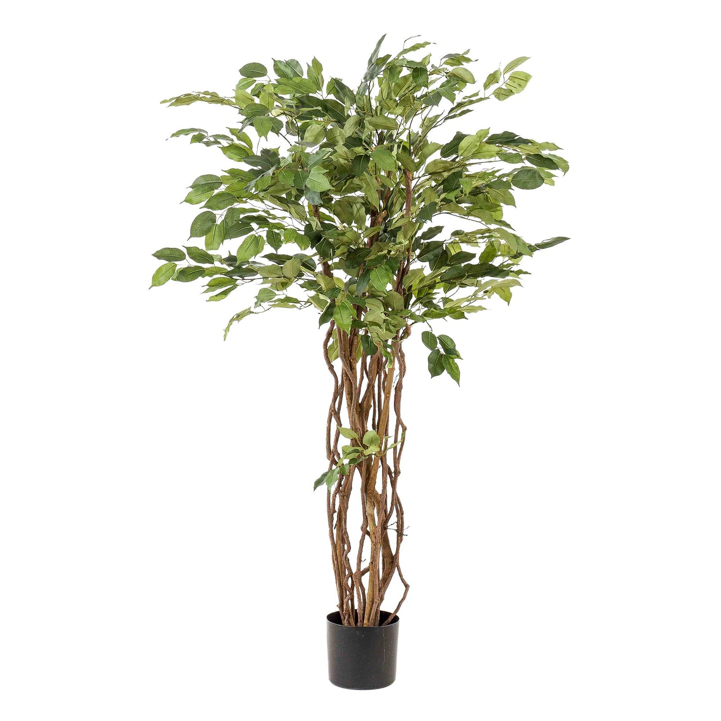 Kunstpflanze Ficus Liana 140 cm – Elegant & Pflegeleicht | Pflanzfix24.de - Pflanzfix24.de