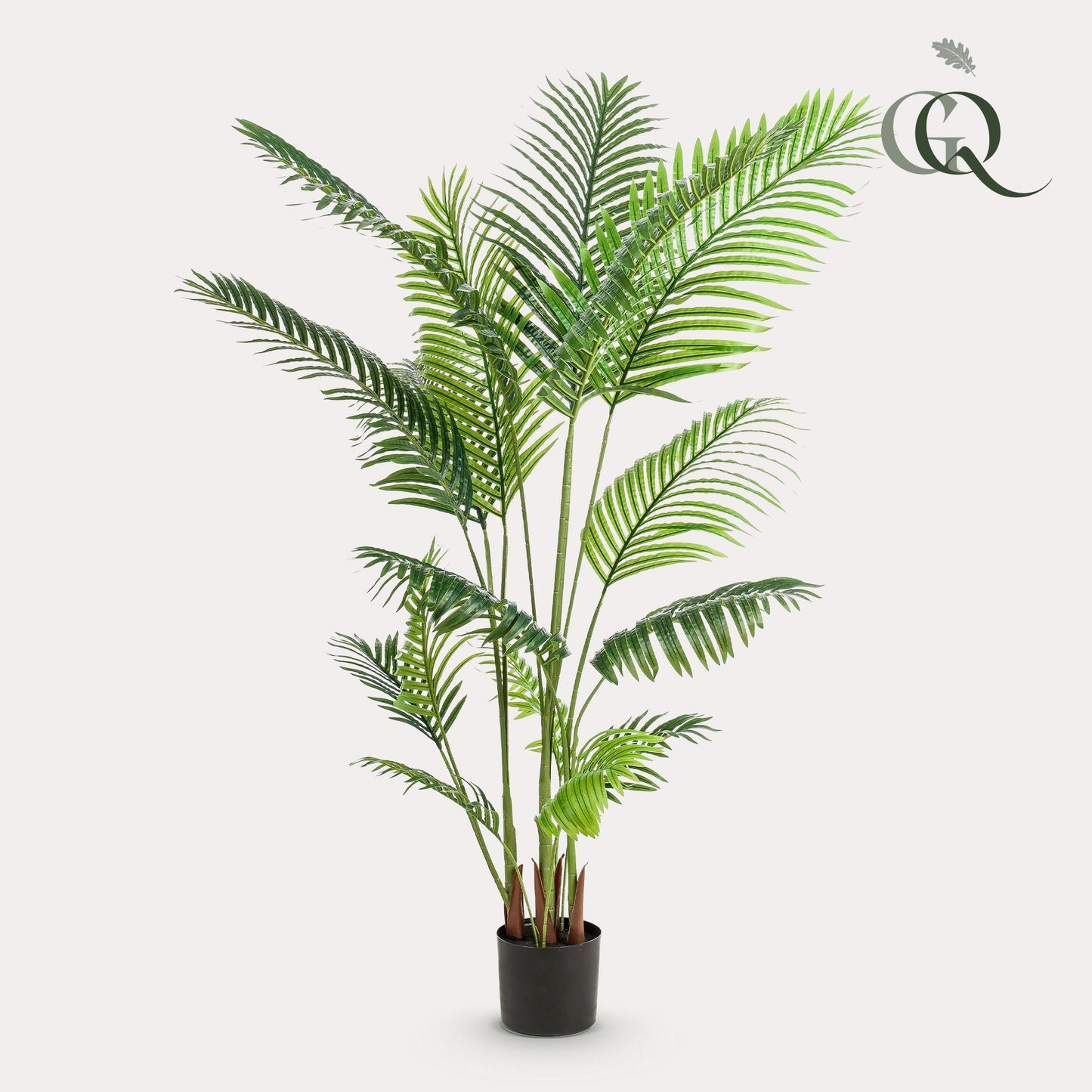 Howea Forsteriana Kunstpalme 160cm – Pflegeleicht | Pflanzfix24.de - Pflanzfix24.de