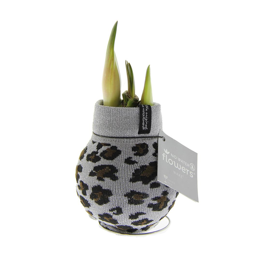 No Water Flowers® Fashionz Animal - Leopard + Red flower - Pflanzfix24