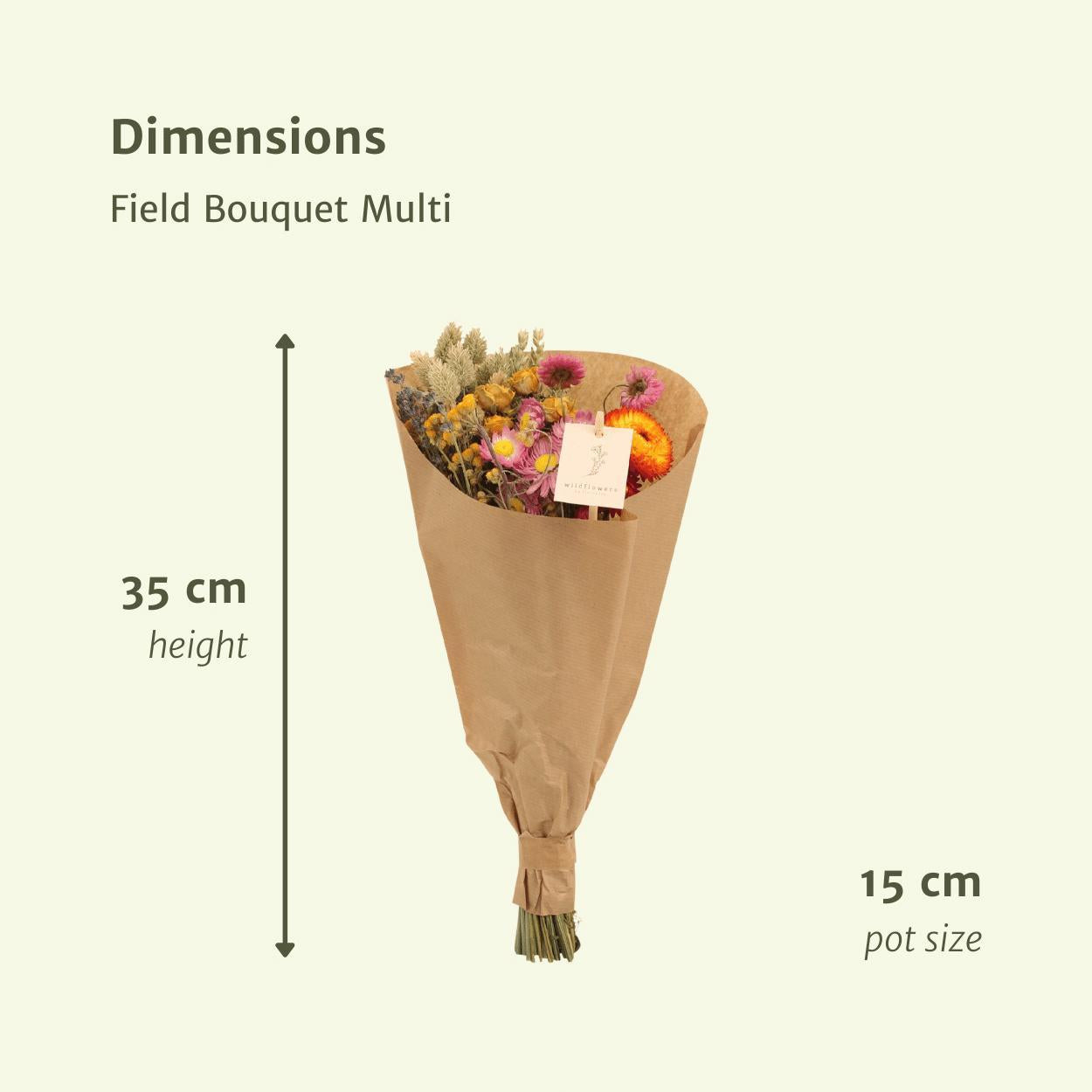 12x Field Bouquet Multi – Bunter Trockenstrauß | Pflanzfix24.de - Pflanzfix24.de