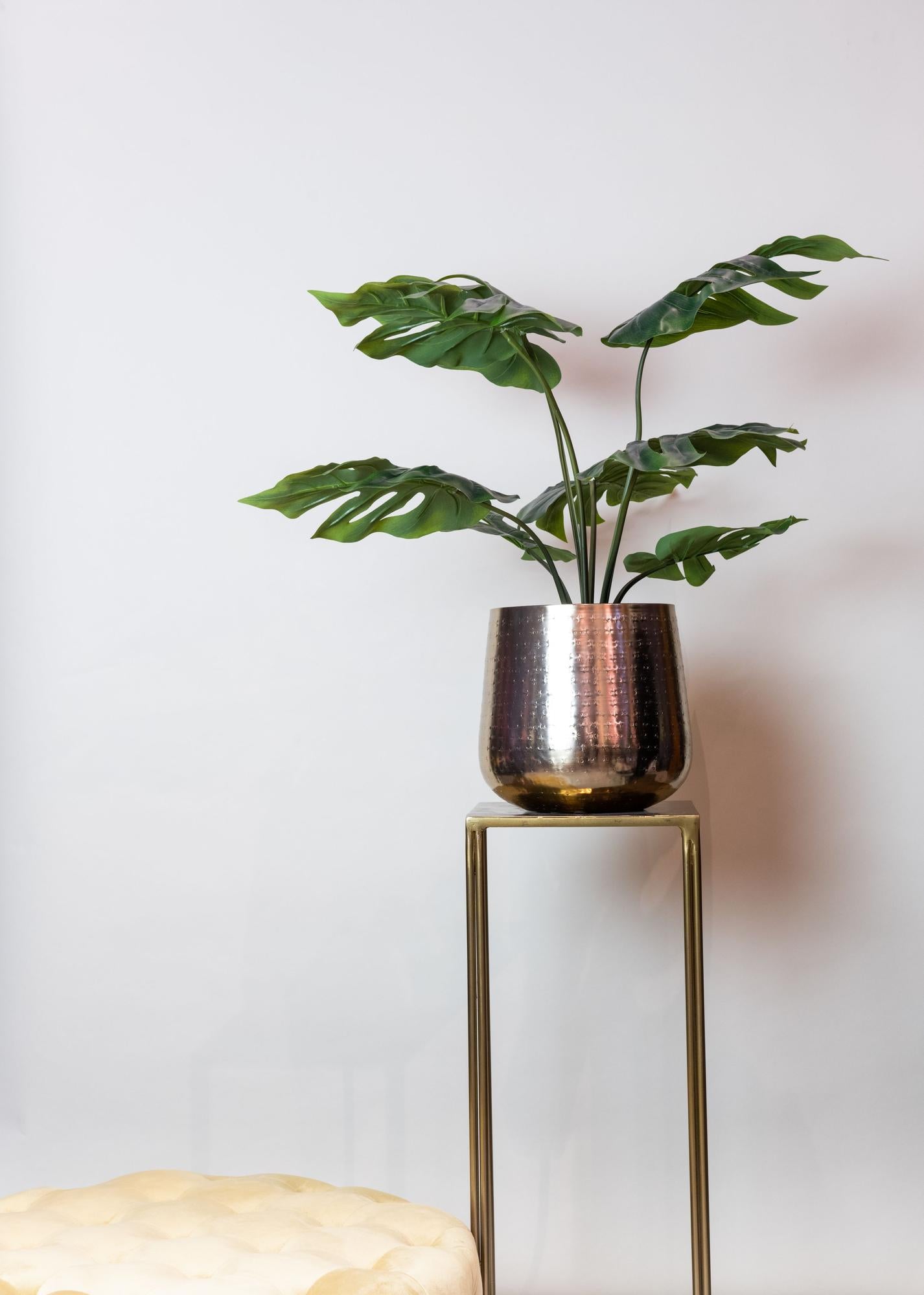 Künstliche Monstera Deliciosa - 65 cm - Pflanzfix24.de - Pflanzfix24.de