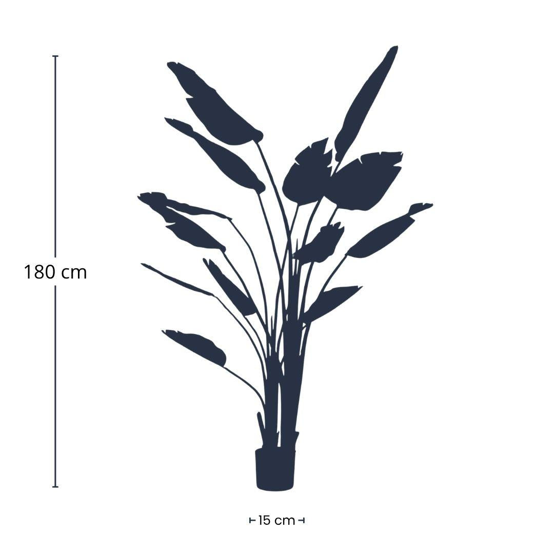 Strelitzia nicolai - 180 cm - In zwarte pot - Kunstplant - Pflanzfix24