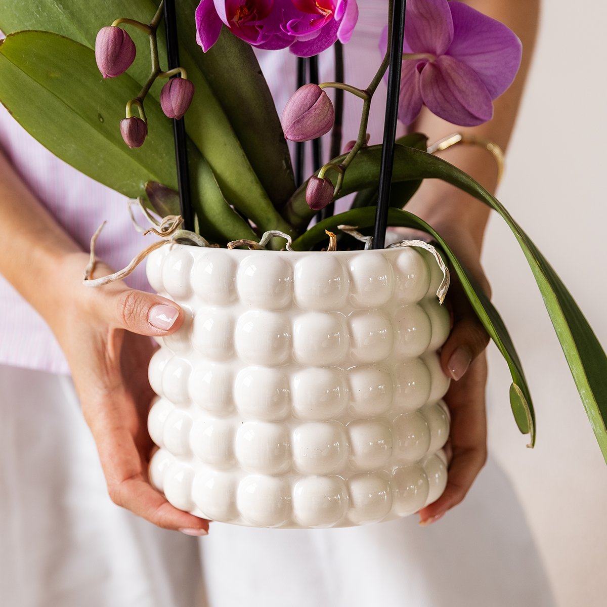 pflanzfix24 | Kolibri Home | Poppy Ziertopf - White - Ø9cm