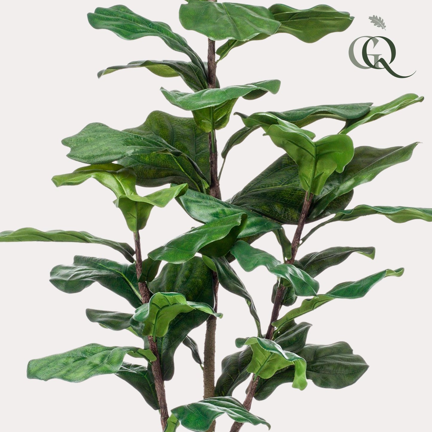Ficus Lyrata Kunstpflanze 120cm – Tabakpflanze | Pflanzfix24.de - Pflanzfix24.de