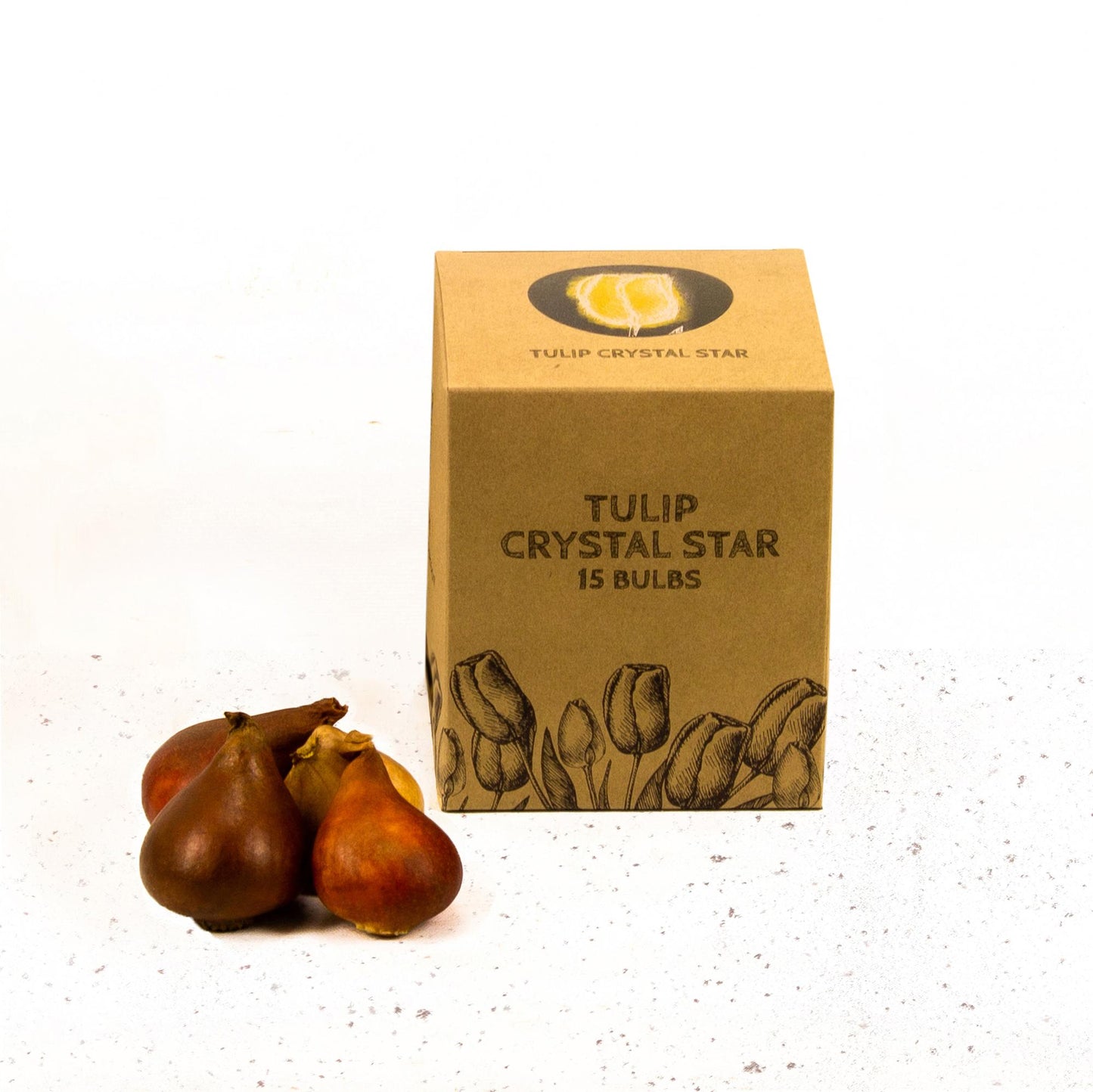 Flowerbulbs Amsterdam - Crystal Star - 15 Blumenzwiebeln - Pflanzfix24