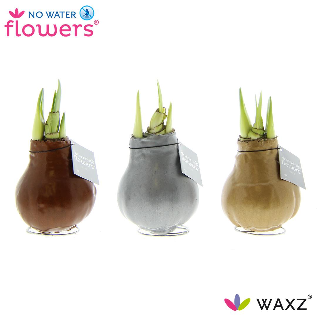 No Water Flowers Waxz Metallic Gold / Silver / Copper - 3 Stücke - Ø7 cm - ↕15 cm - Pflanzfix24