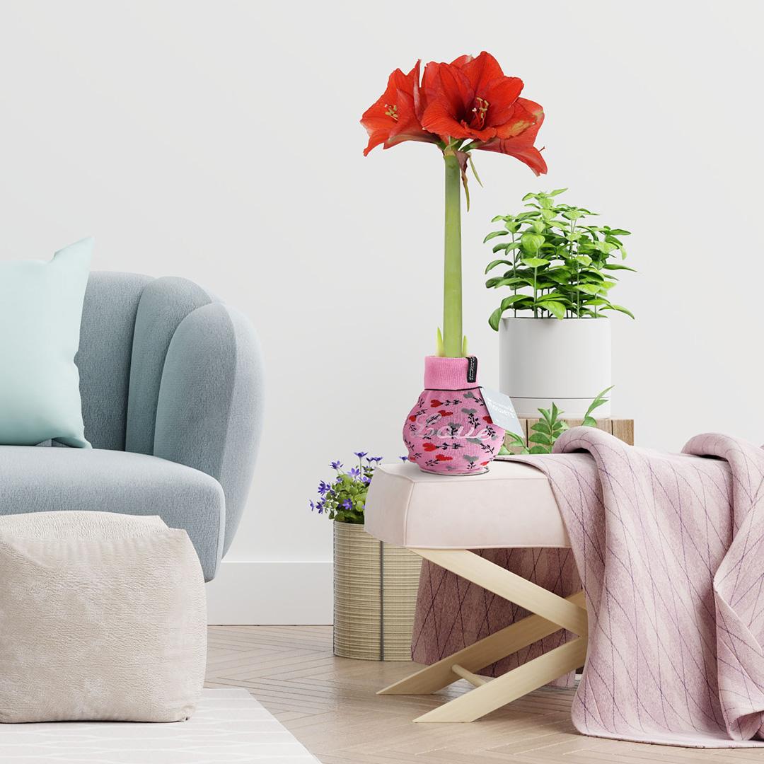 No Water Flowers® | Fashionz Love - Pink + Red flower - Pflanzfix24