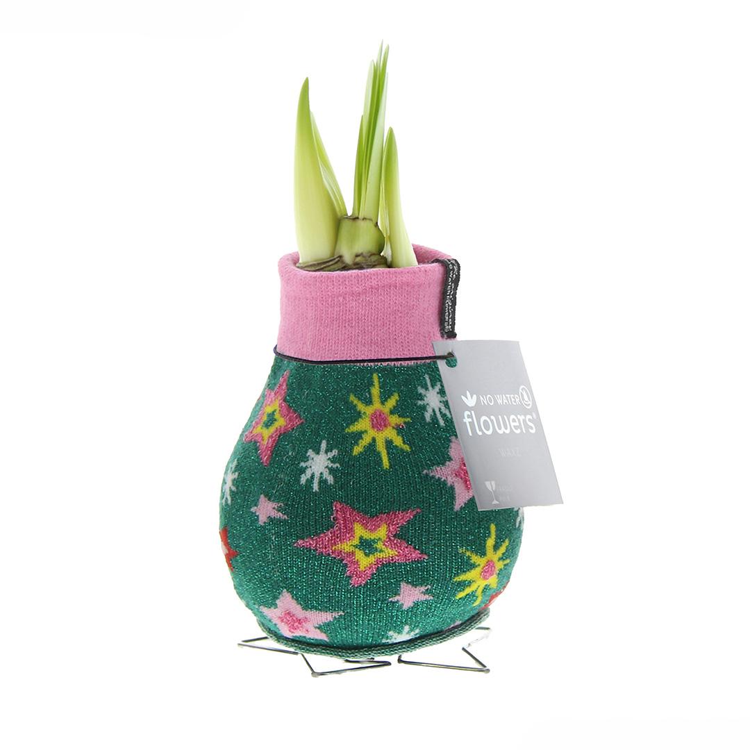 No Water Flowers® Fashionz Patterns Disco - Green + Red flower - Pflanzfix24