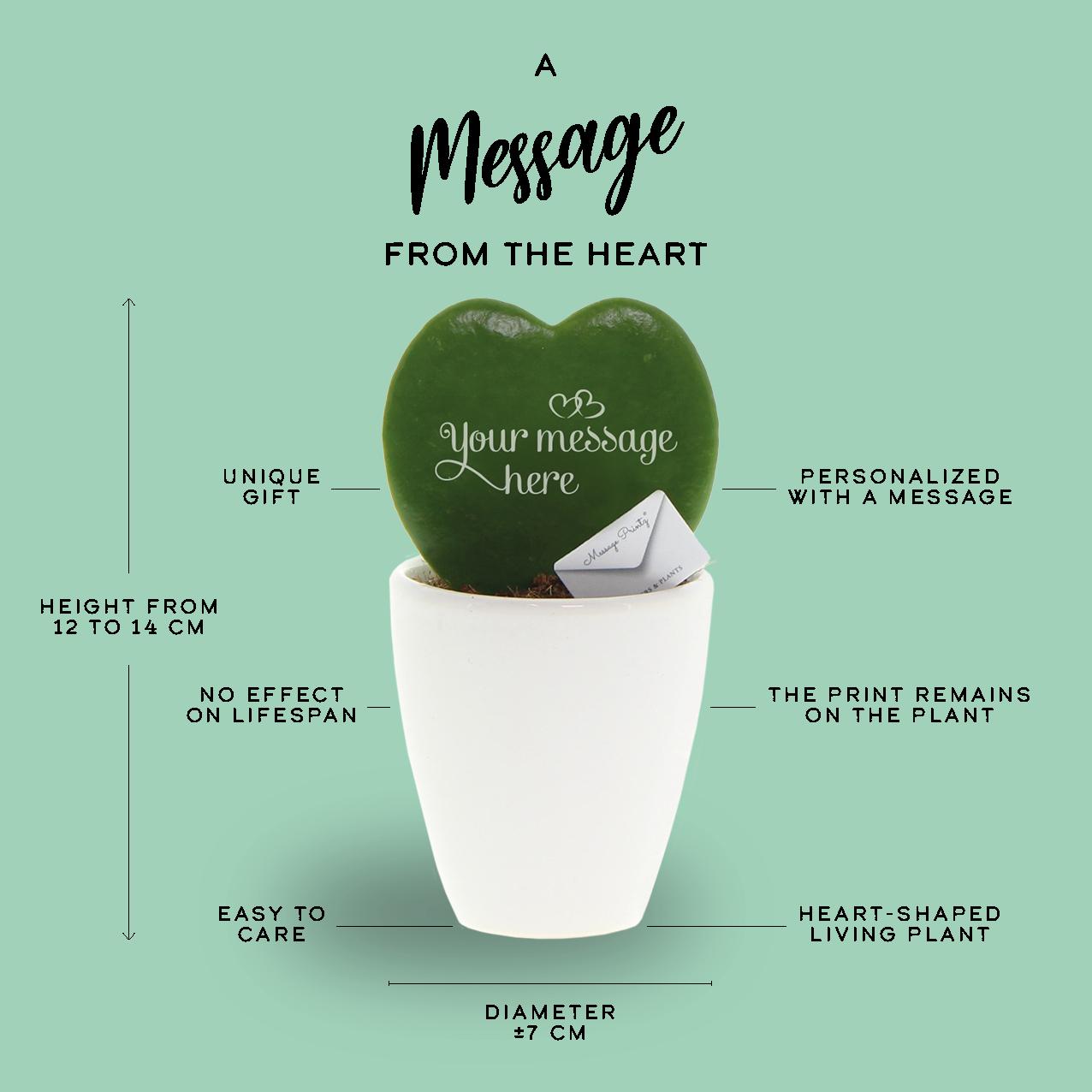 Message Printz® Hoya (Heartplant) | Wonderful Christmas - Pflanzfix24