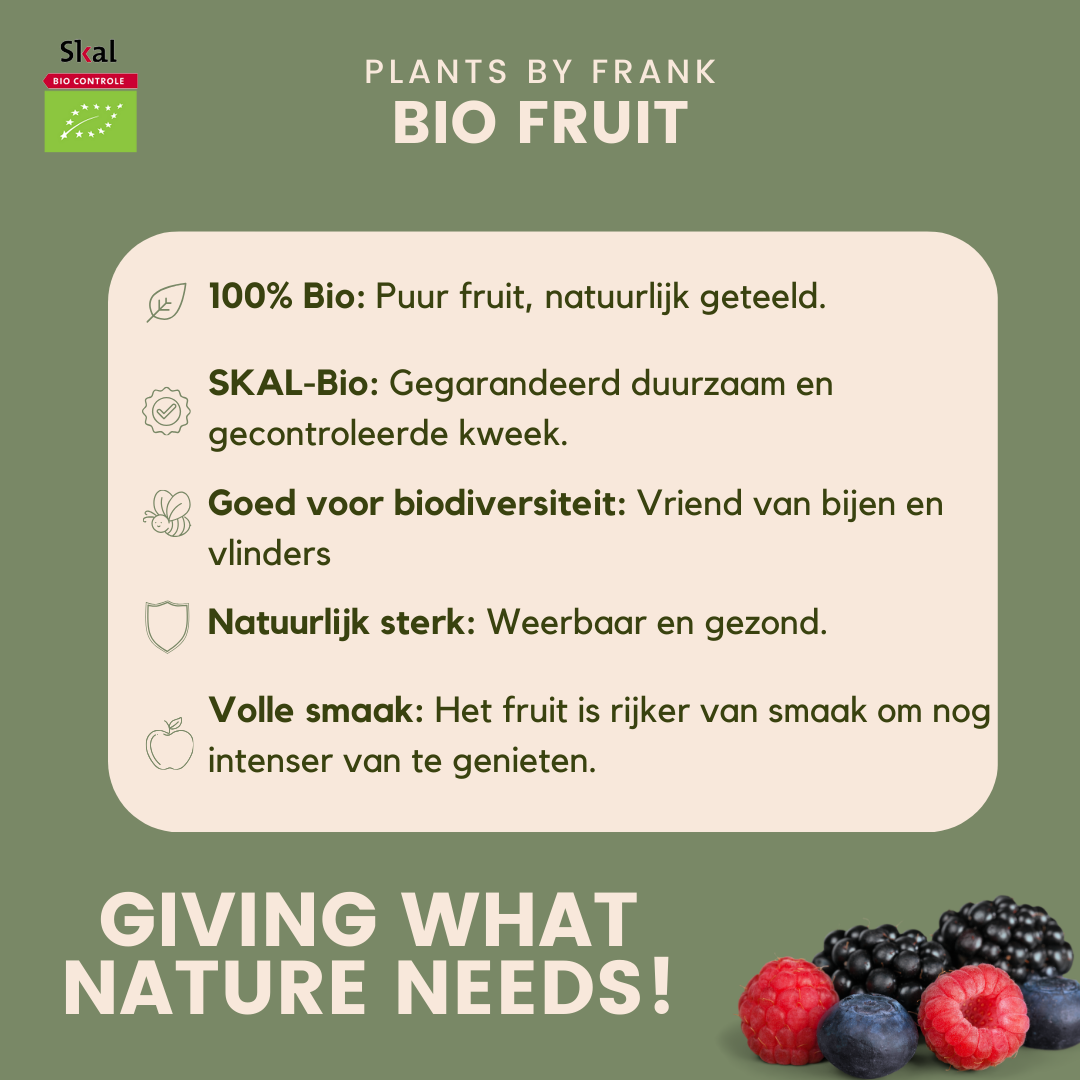Fruchtoase BIO Obstpflanzen Mix - Pflanzfix24