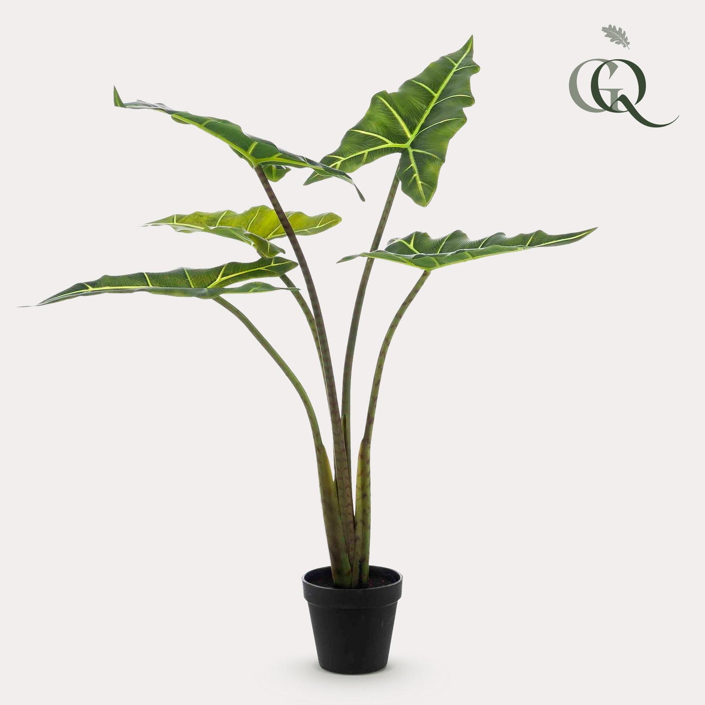 Kunst-Alocasia Frydek 80 cm – Pflanzfix24.de - Pflanzfix24.de