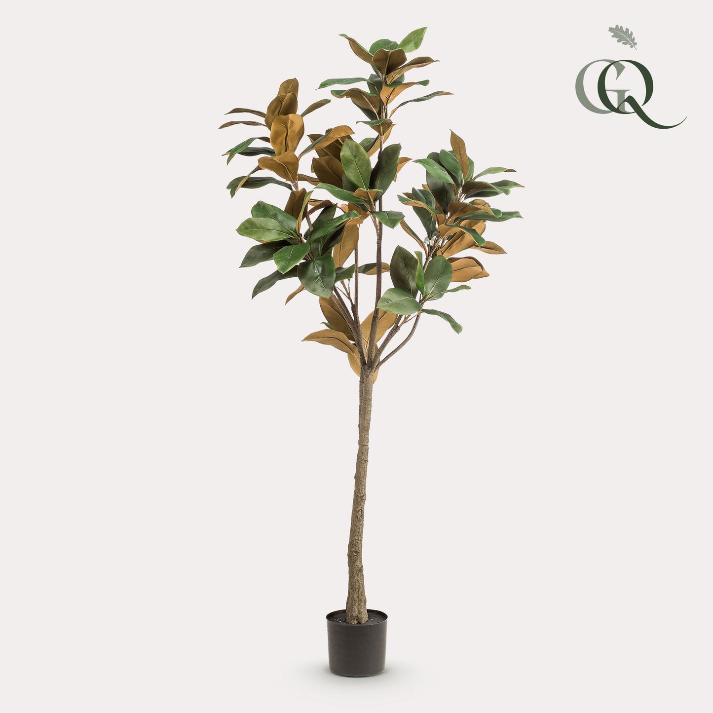 Kunstpflanze Magnolia Grandiflora – 150 cm – Realistischer Kunstbaum für Zuhause & Büro | Pflanzfix24.de - Pflanzfix24.de