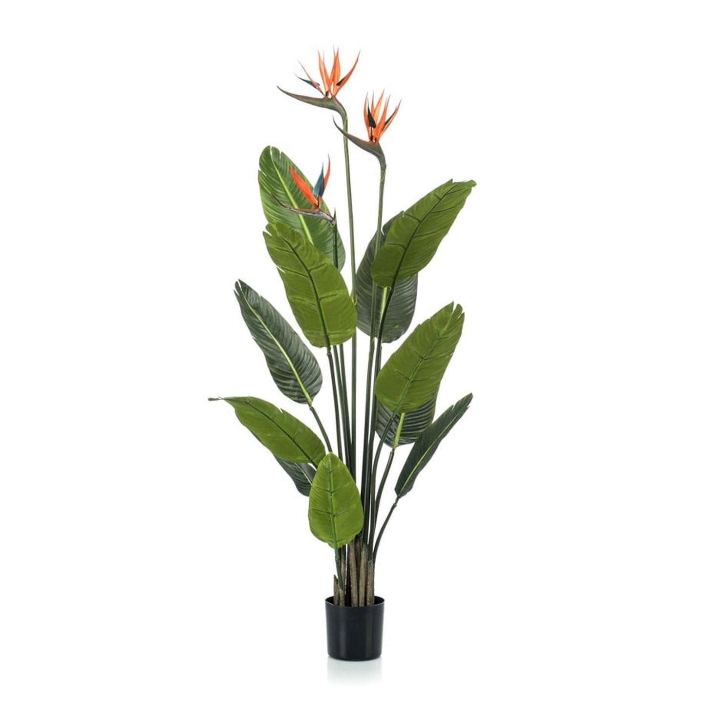 Strelitzia met bloemen - 120cm - In zwarte pot - Kunstplant - Pflanzfix24