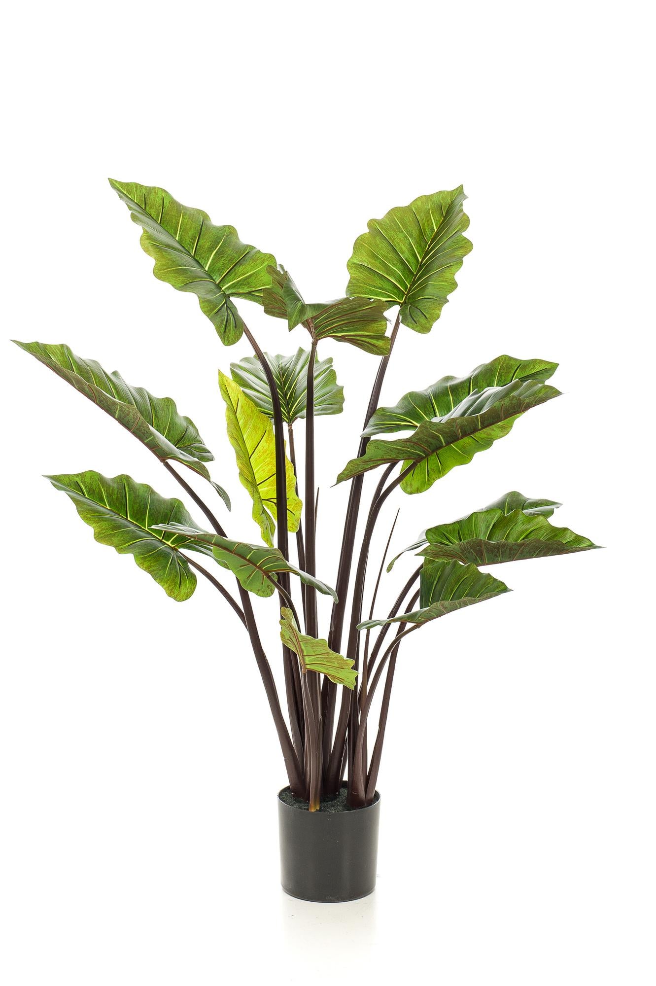Colocasia Pink China Kunstpflanze 130 cm – Elefantenohr | Pflanzfix24.de - Pflanzfix24.de