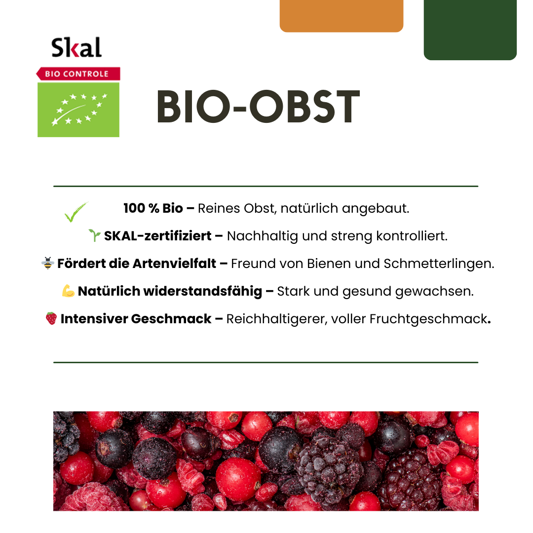 Früchte-Party BIO Beeren-Set – 3 Obstpflanzen | Pflanzfix24.de - Pflanzfix24.de