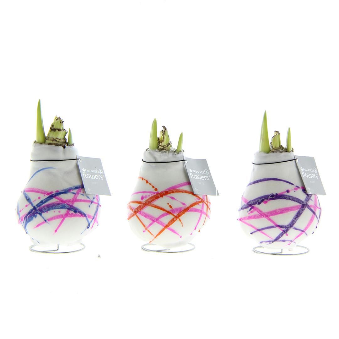 No Water Flowers® Waxz® Art Karel Appel Mix (3er Pack) + Rote Blume - Pflanzfix24