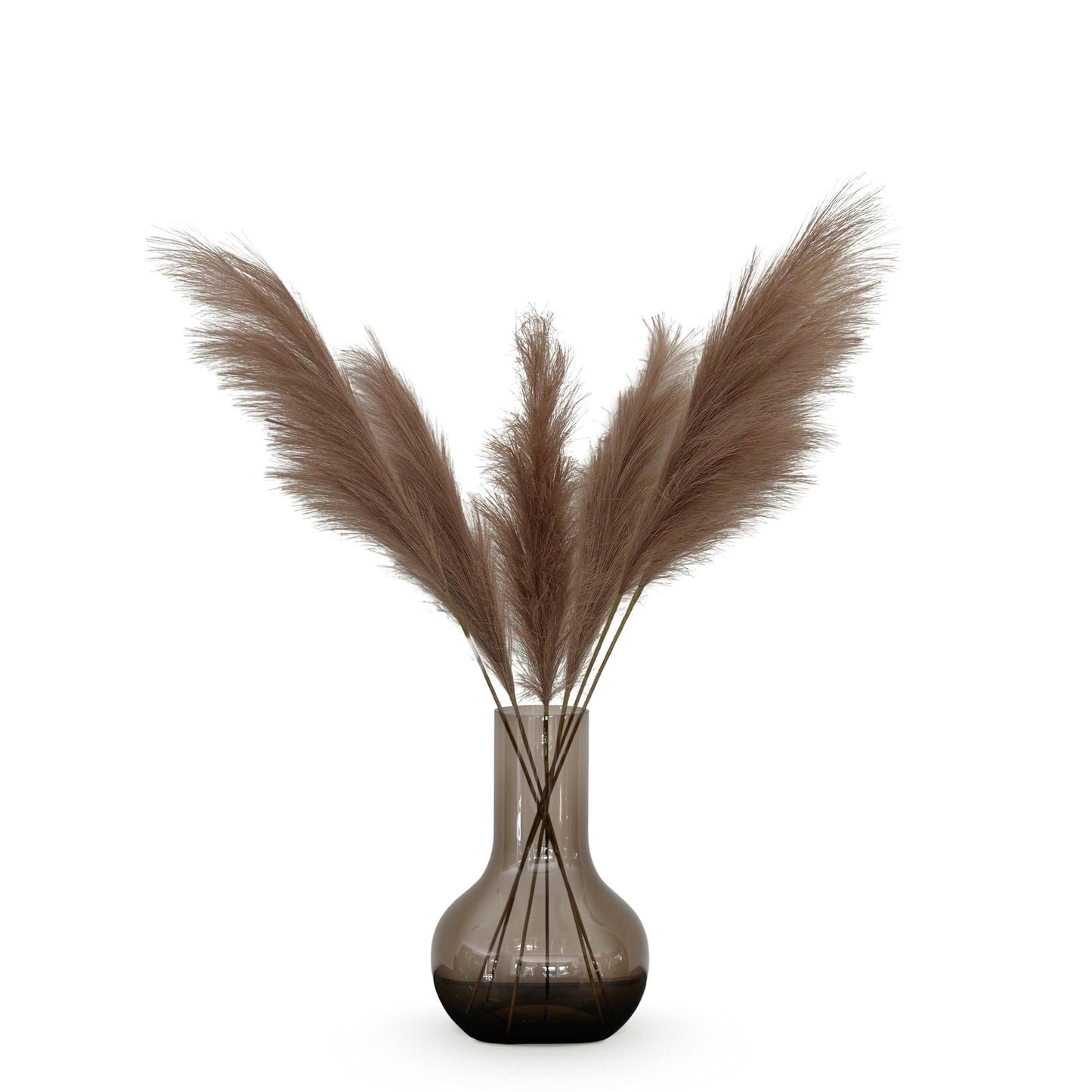 Pampas Pluimen Kunsttakken - Bruin - Set van 6 - 115cm - Pflanzfix24