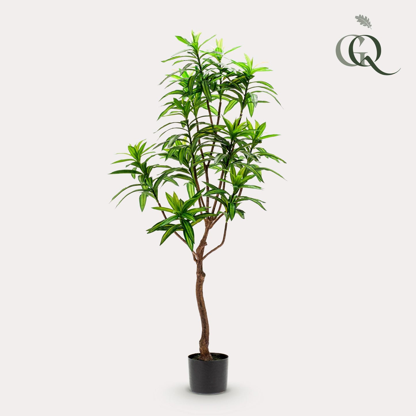 Dracaena Kunstpflanze 130cm – Drachenbaum | Pflanzfix24.de - Pflanzfix24.de