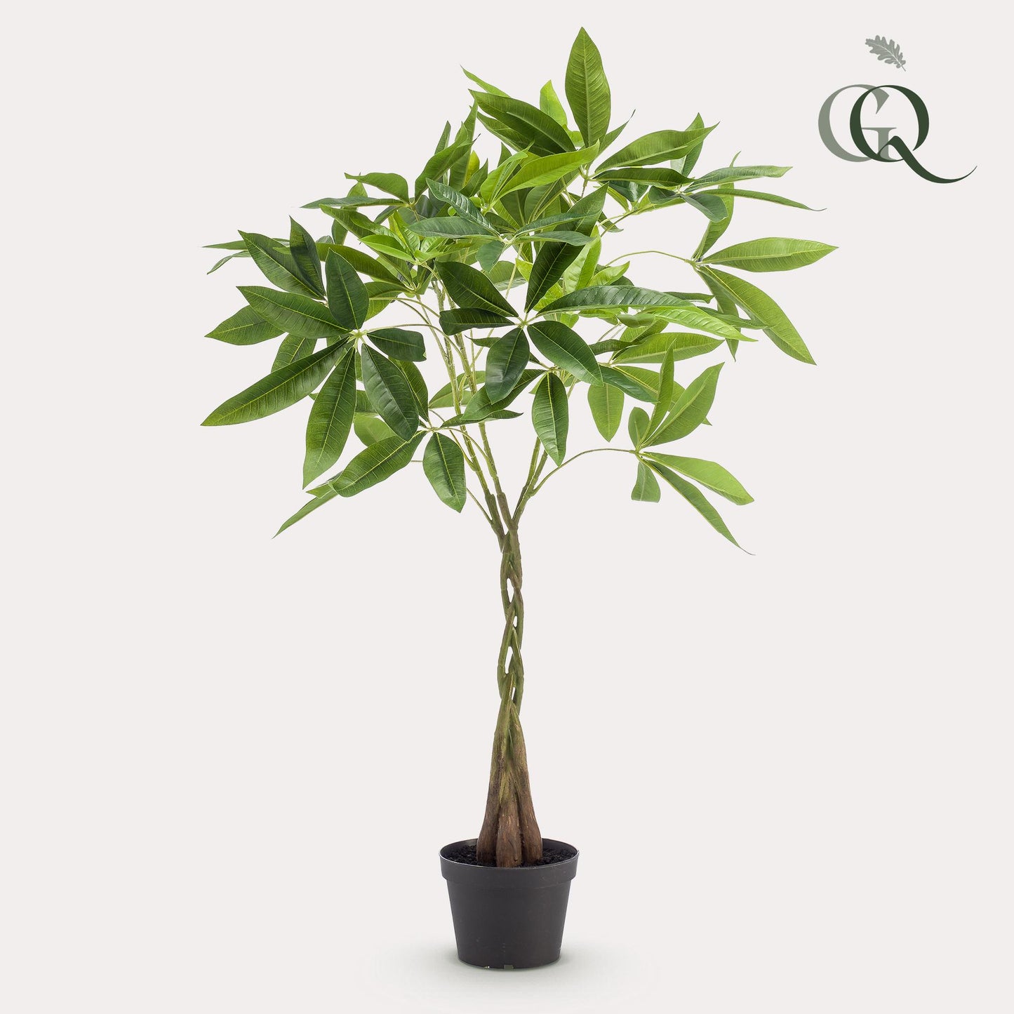 Kunstpflanze Pachira Aquatica Geldbaum 90 cm | Pflanzfix24.de - Pflanzfix24.de