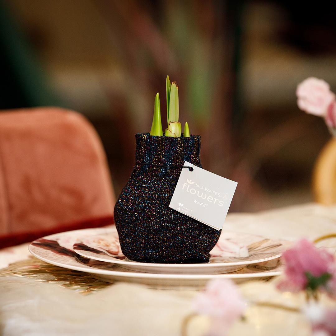 No Water Flowers® (wax amaryllis) | Fashionz Patternz Shine - Black + Red flower - Pflanzfix24