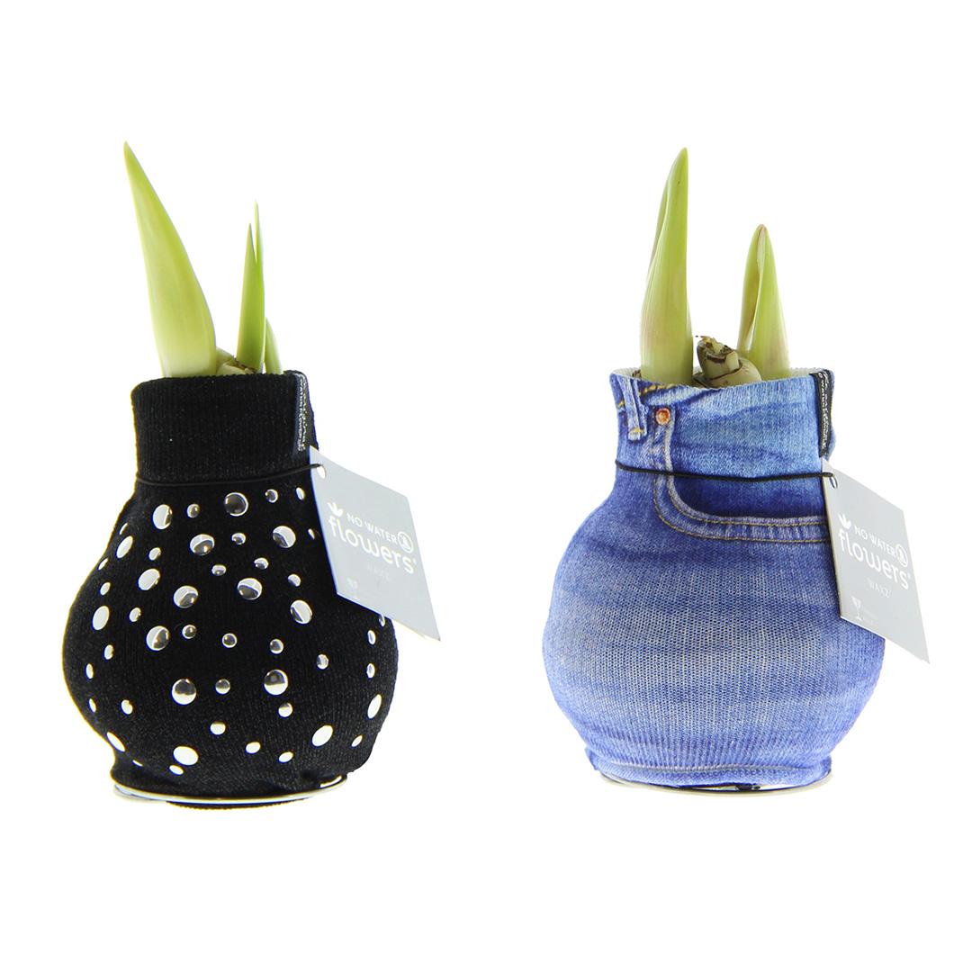 No Water Flowers® Fashionz Streetlife Mix (2 pack) + Red flower - Pflanzfix24