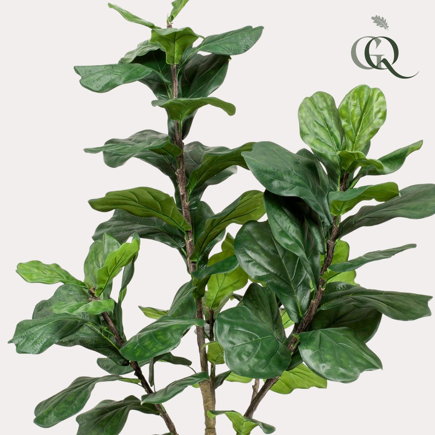Ficus Lyrata Kunstpflanze 180cm – Tabakpflanze | Pflanzfix24.de - Pflanzfix24.de
