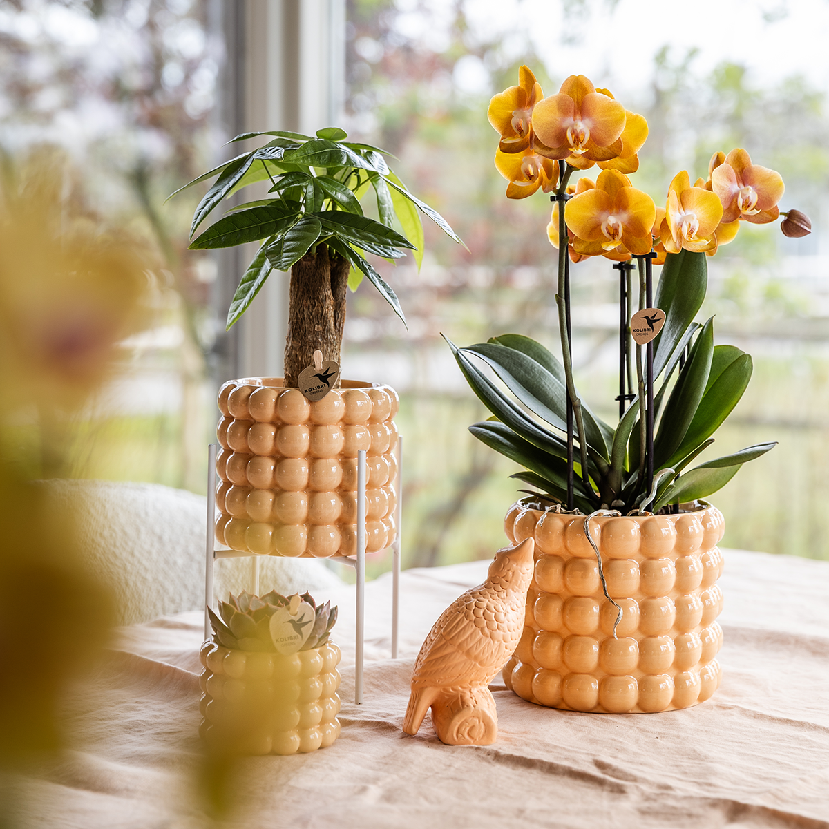 pflanzfix24 | Kolibri Home | Poppy Ziertopf - Peach - Ø6cm