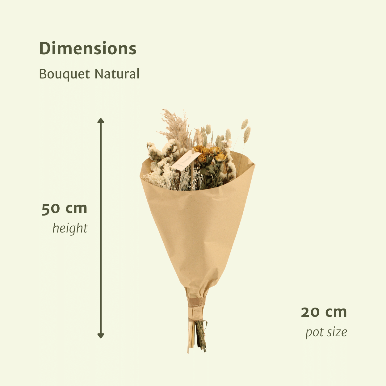 Trockenblumen Feldblumenstrauß Natürlich Ø20cm | Pflanzfix24.de - Pflanzfix24.de