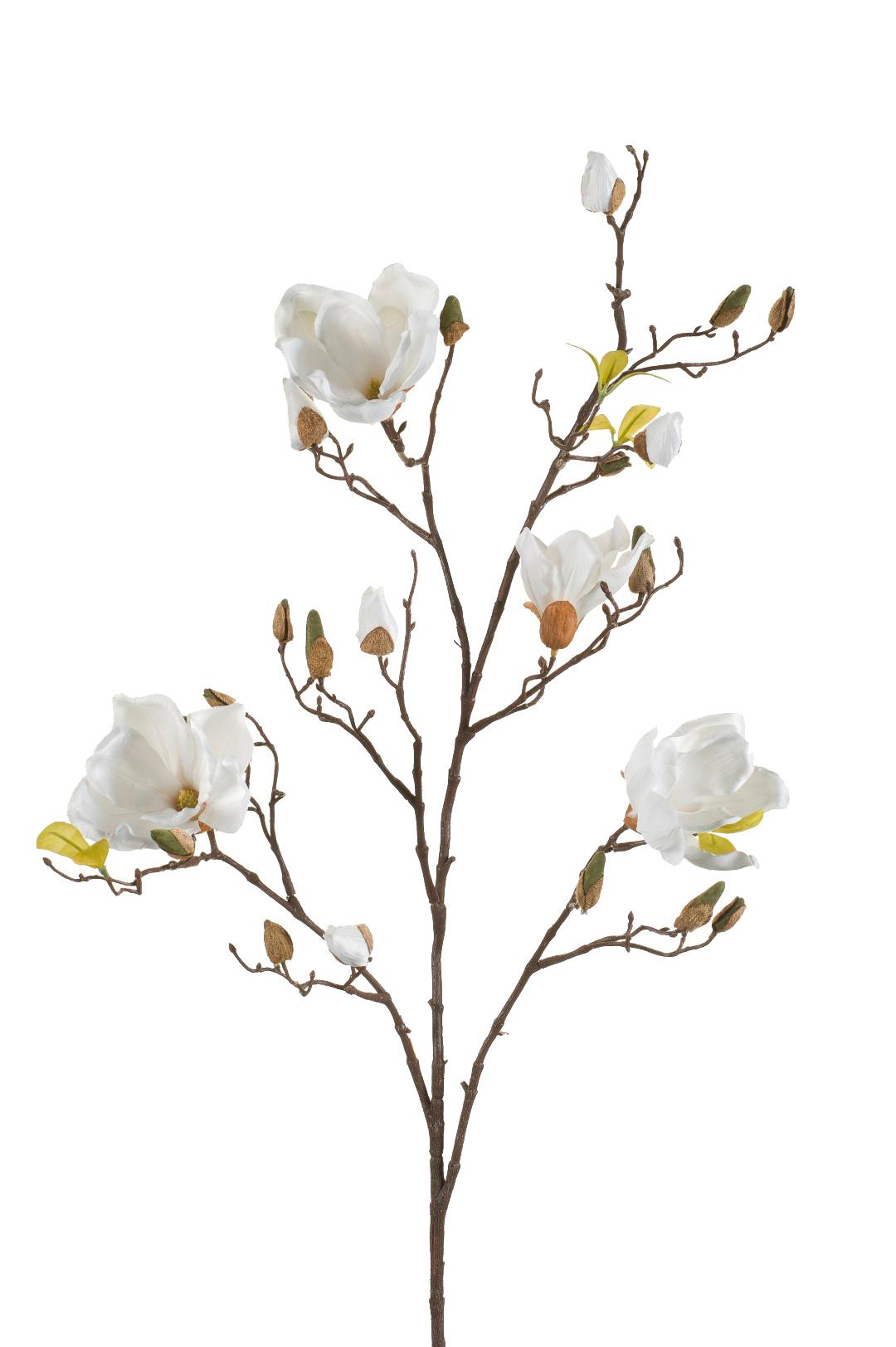 Kunstzweige Magnolien Crème – 4er Set – 105 cm | Pflanzfix24