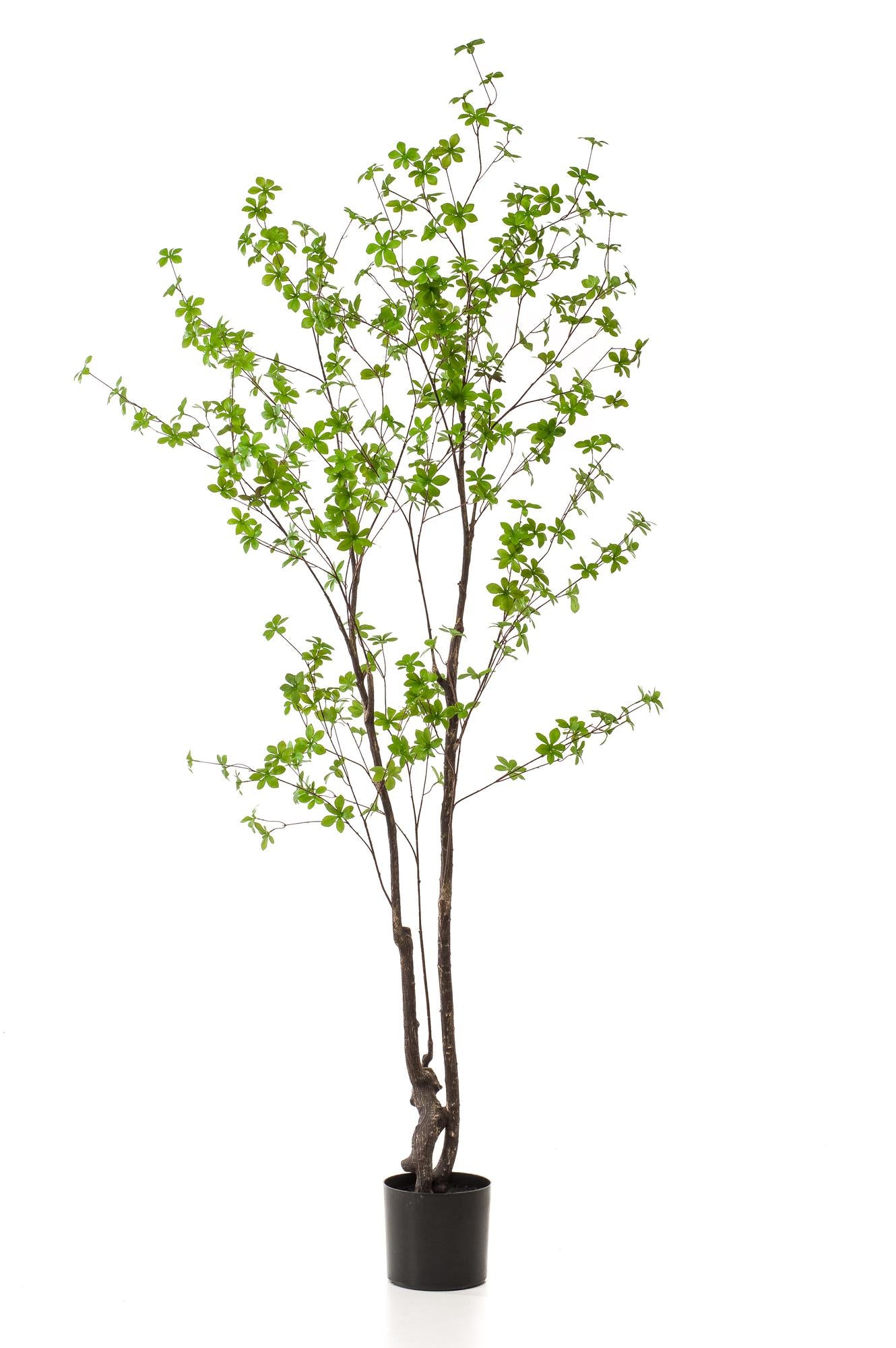 Kunst-Tropaeolum Speciosum 210 cm – Ostindische Kirsche | Pflanzfix24.de - Pflanzfix24.de