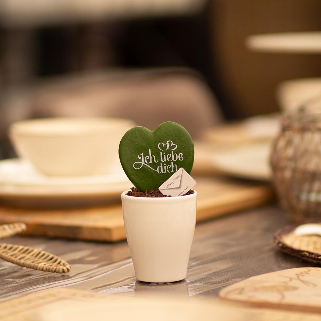 Message Printz® Hoya (Heartplant) | Ich liebe dich - Pflanzfix24
