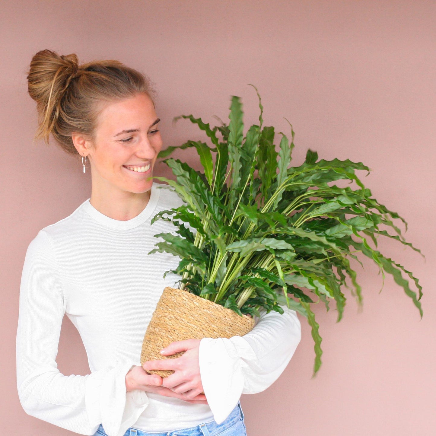 Calathea Rufibarba - Samt-Calathea im Sofia-Korb - 55cm - Pflanzfix24