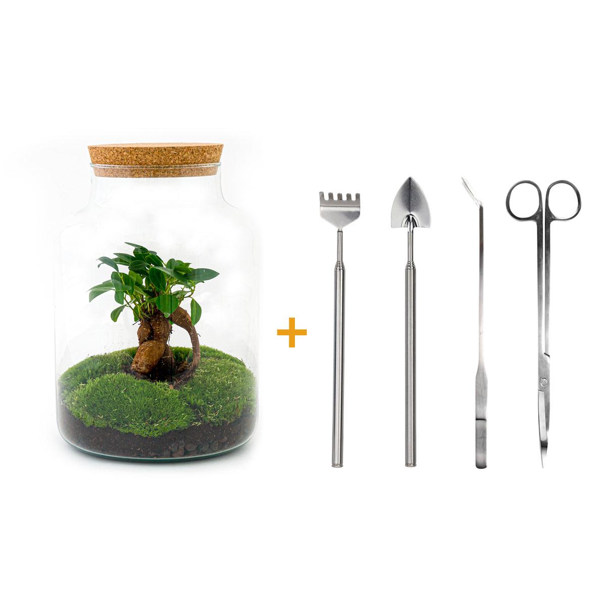 Flaschengarten - Milky mit Bonsai - ↕ 30 cm - Rake + Shovel + Tweezer + Scissors - Pflanzfix24.de - Pflanzfix24.de
