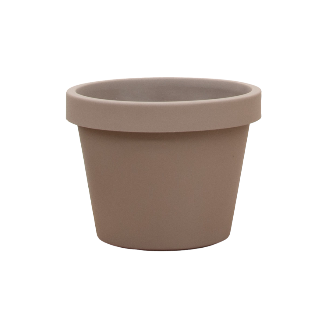 Lira Tortora Pflanze D65 x H58 cm | Pflanzfix24