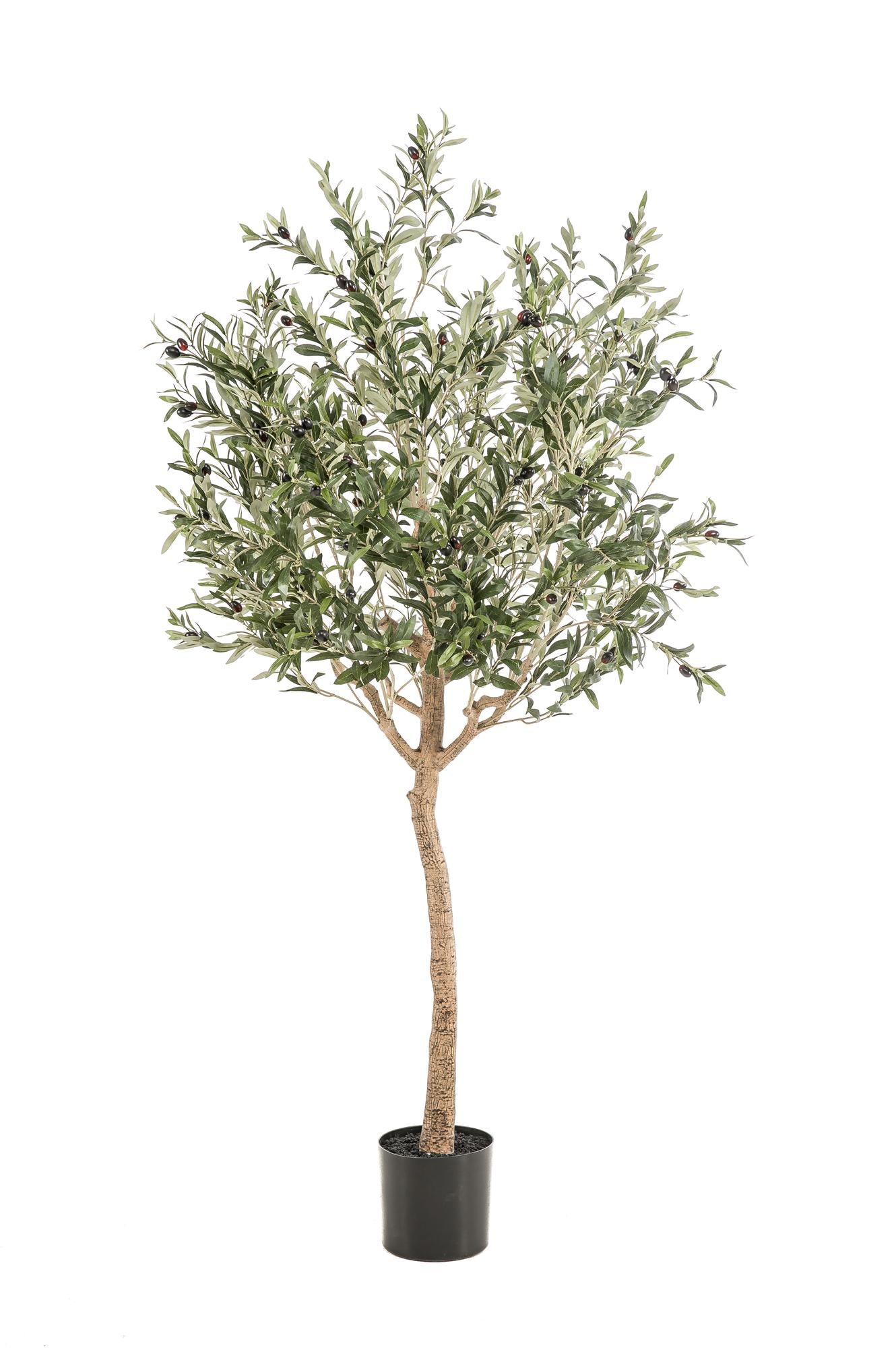 Kunstpflanze Olea europaea Olivenbaum 180 cm – Pflegeleicht & Dekorativ | Pflanzfix24.de - Pflanzfix24.de
