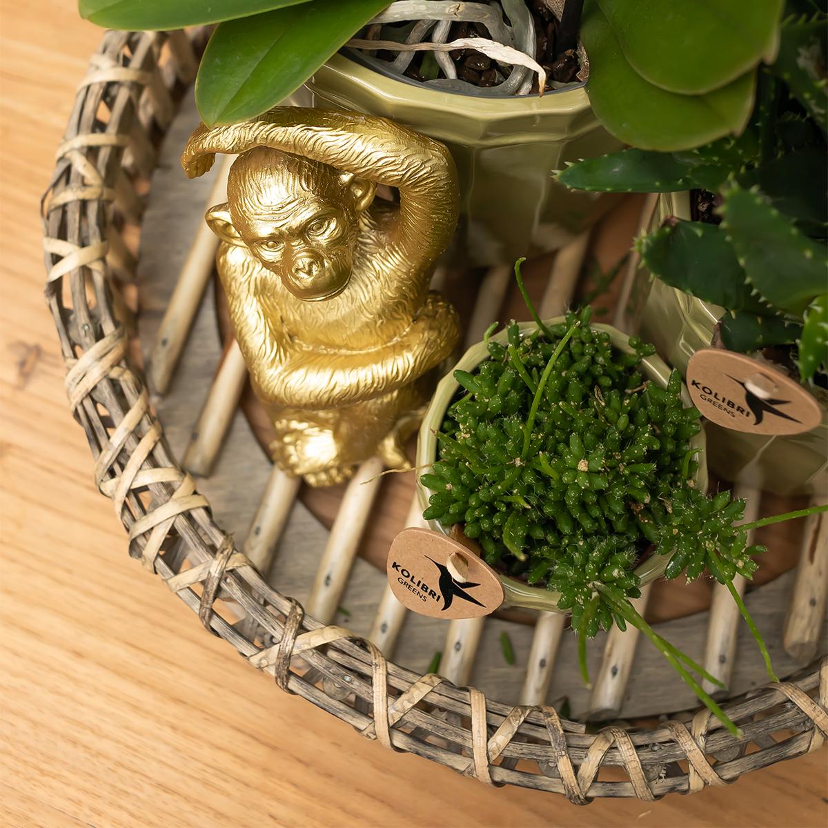 Sitzender Affe Dekofigur Gold – Kolibri Home | Pflanzfix24.de - Pflanzfix24.de