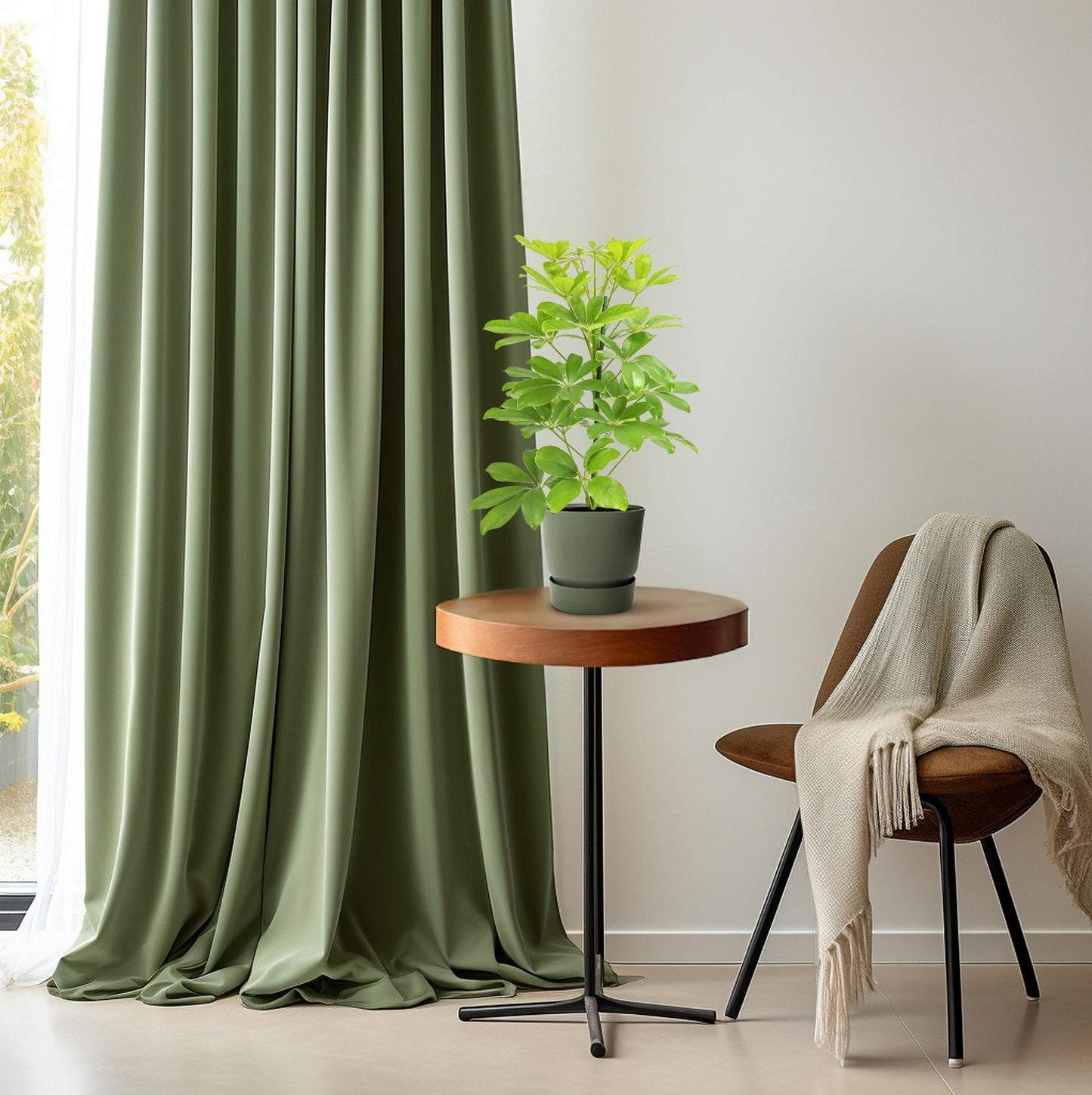 Schefflera Nora Ø13cm, 45cm | Luftreinigend & Pflegeleicht | Pflanzfix24