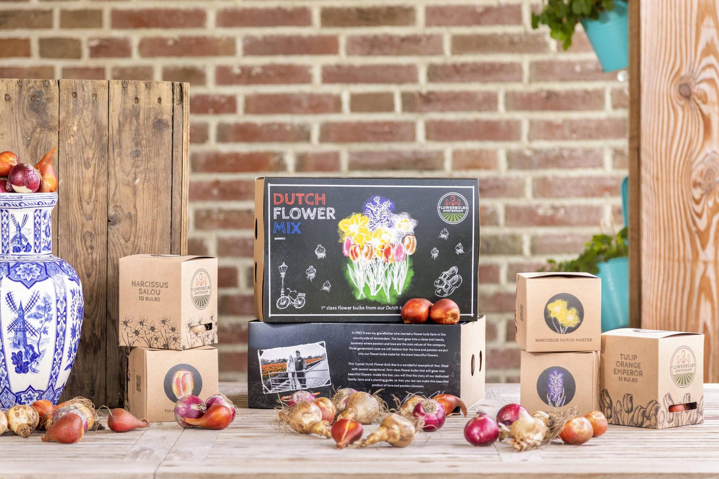 Flowerbulbs Amsterdam - Dutch Flower Mix - Luxusbox 75 Blumenzwiebeln - Pflanzfix24