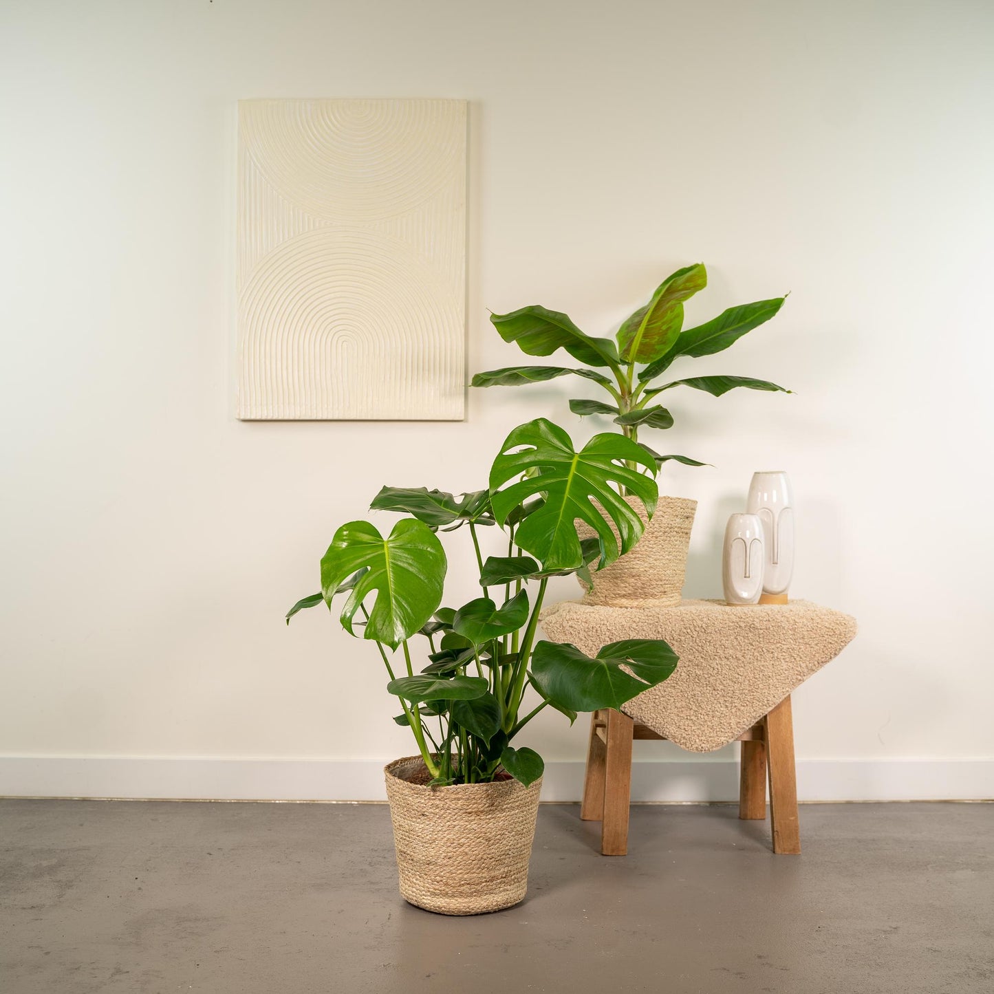 Monstera Deliciosa & Musa Dwarf Cavendish Set mit Korb - Pflanzfix24