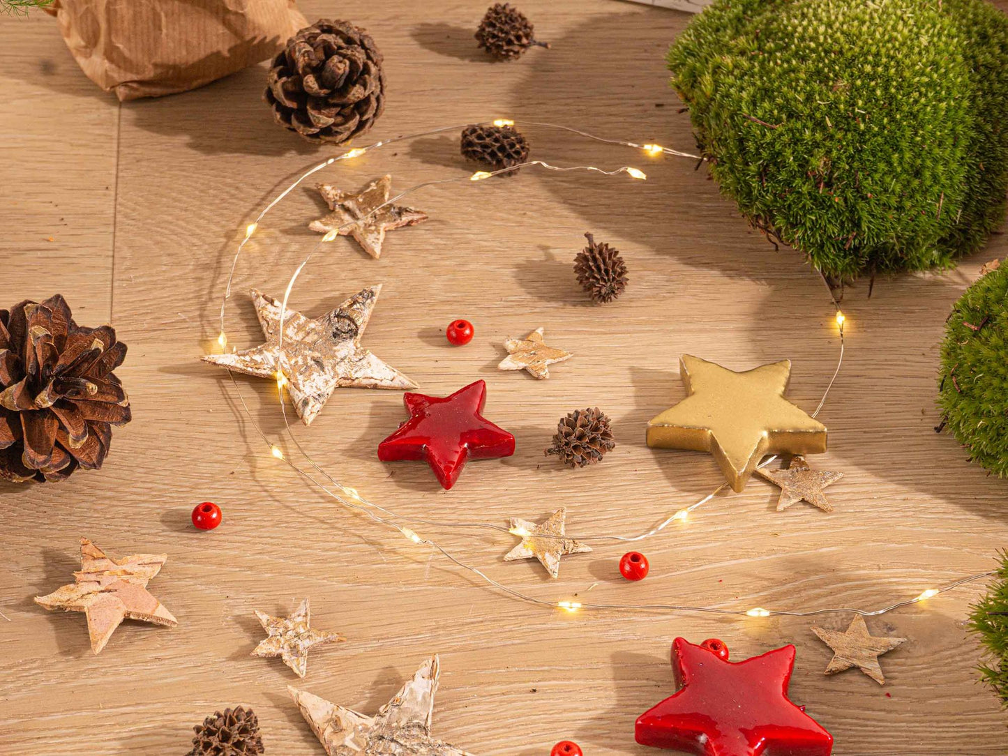 Bolder Bob Bonsai Christmas - DIY - ↕ 30 cm - Pflanzfix24