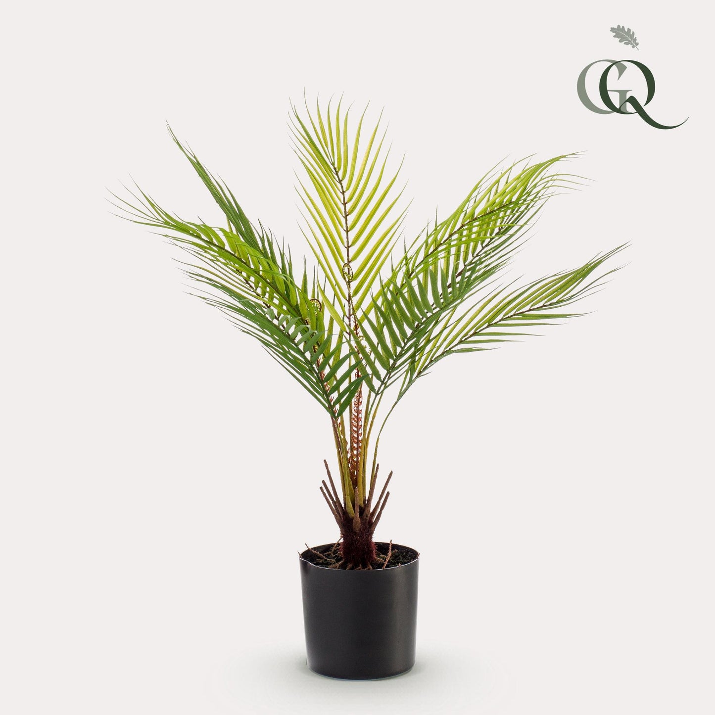 Kunstpalme Chamaedorea Elegans 50 cm – Pflanzfix24.de - Pflanzfix24.de