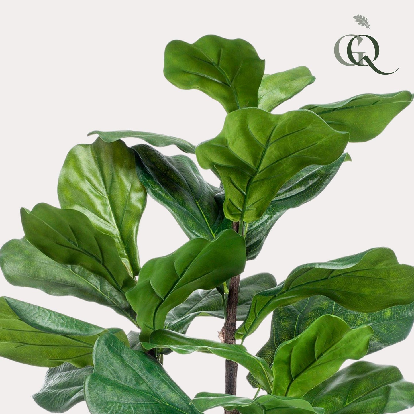 Ficus Lyrata Kunstpflanze 90cm – Tabakpflanze | Pflanzfix24.de - Pflanzfix24.de