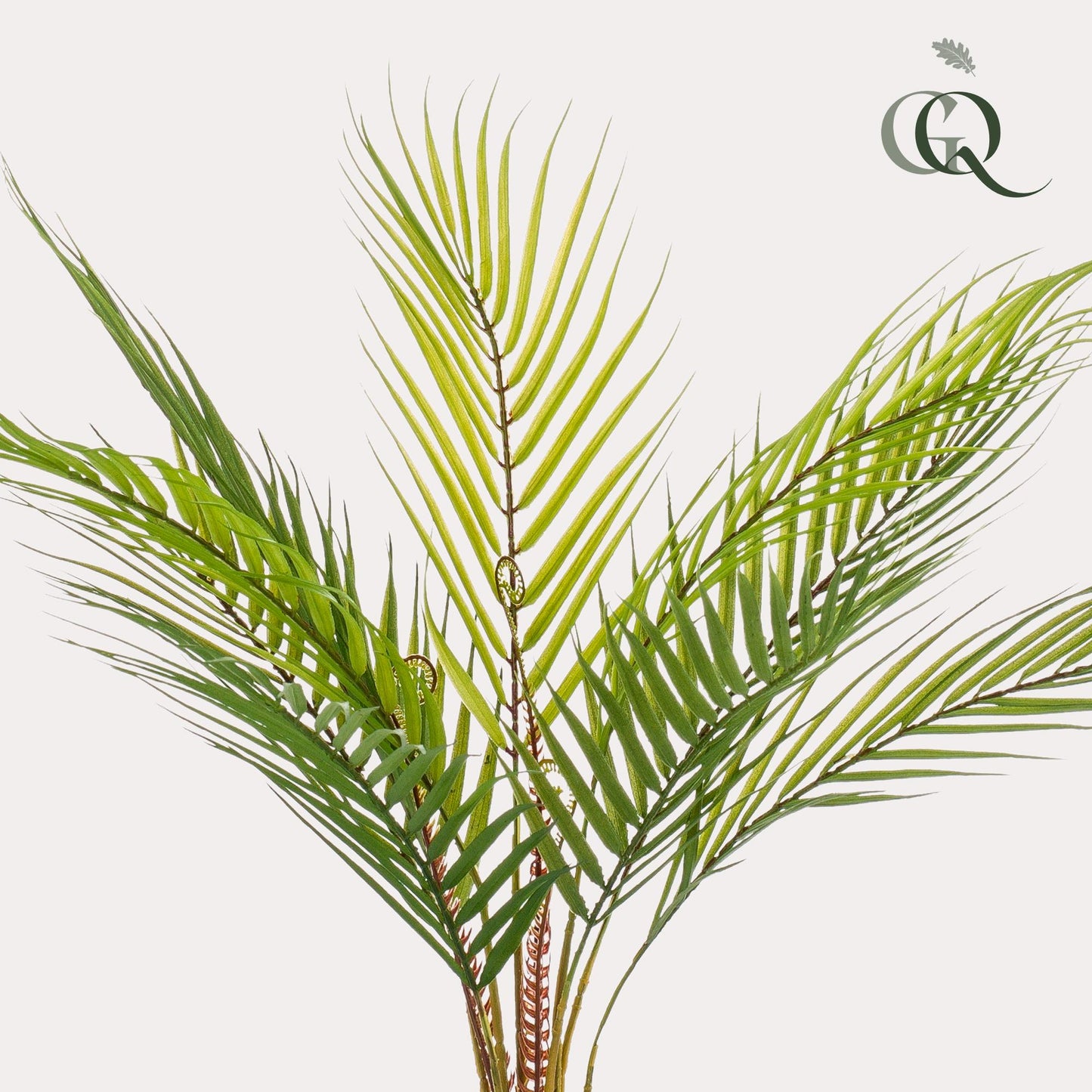 Kunstpalme Chamaedorea Elegans 50 cm – Pflanzfix24.de - Pflanzfix24.de