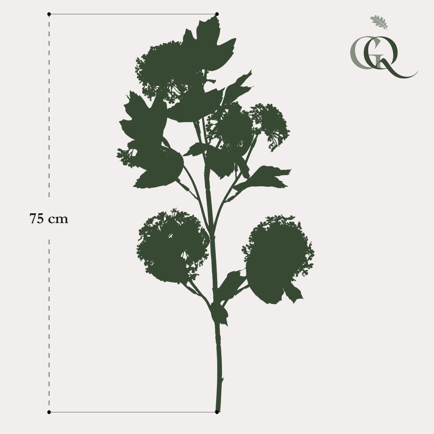 Kunstzweige Viburnum Opulus Crème – 4er Set – 75 cm | Pflanzfix24