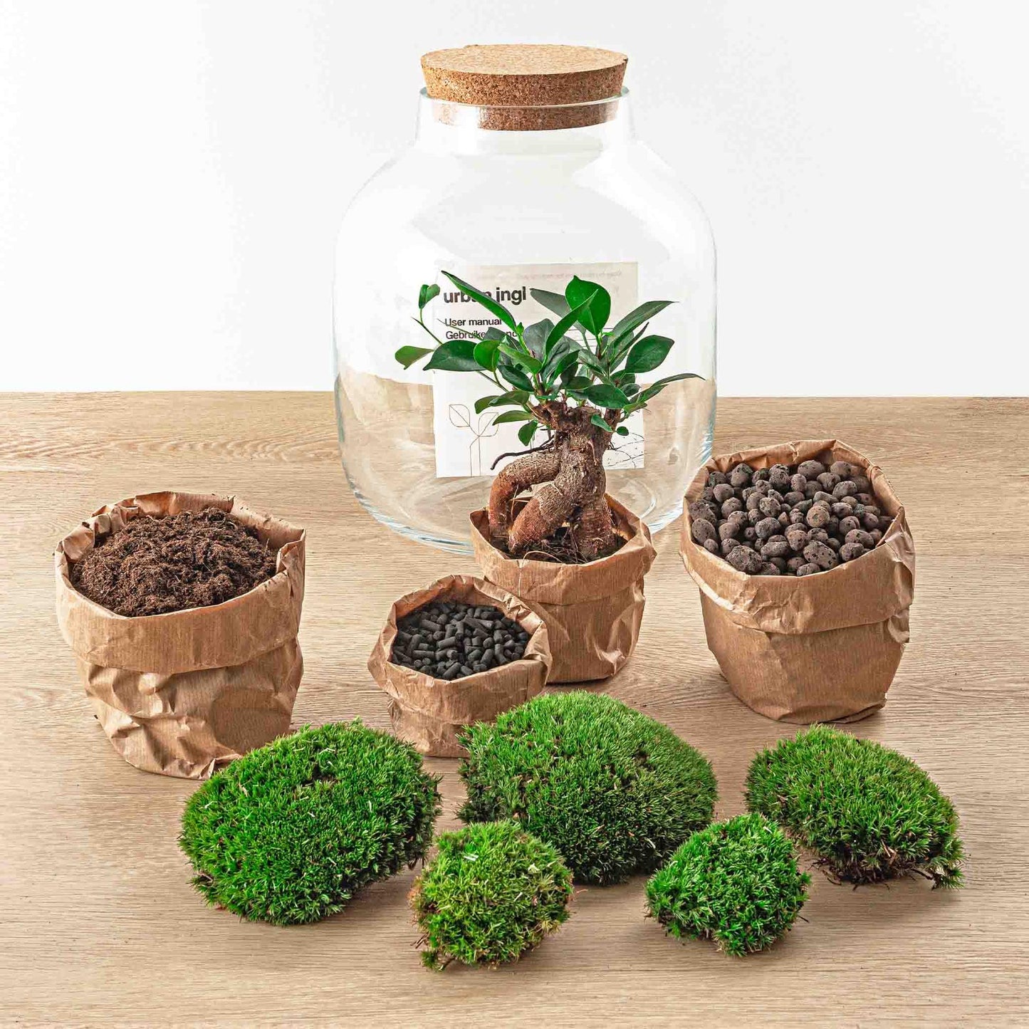Flaschengarten - Billie - DIY Set - Pflanzfix24