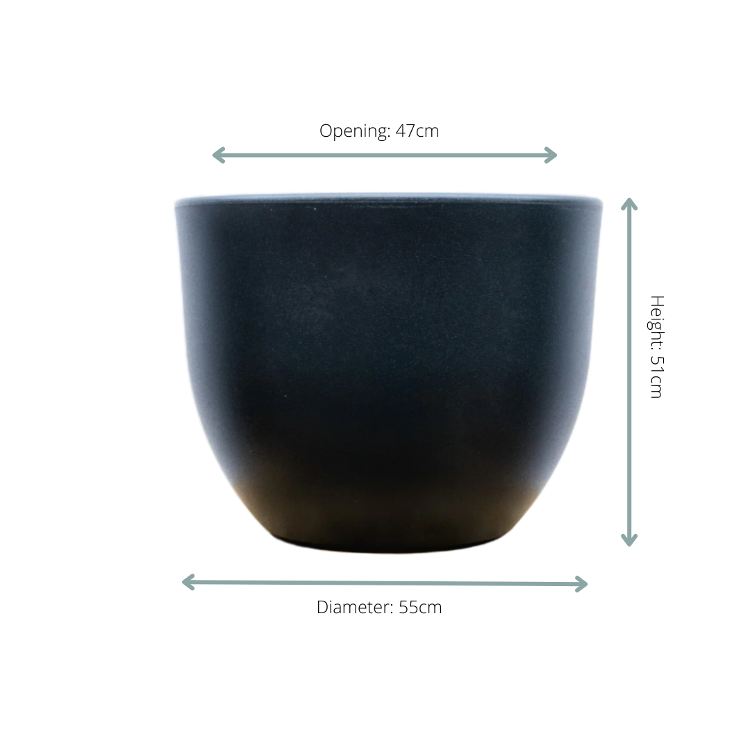 Blumentopf Eggy D55 Anthrazit modern Indoor/Outdoor – Pflanzfix24.de - Pflanzfix24.de
