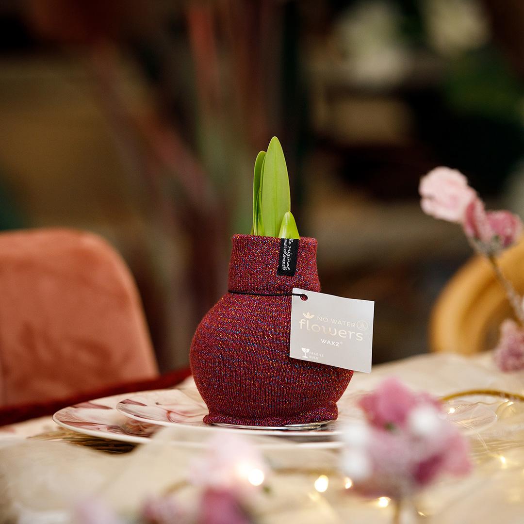 No Water Flowers® (wax amaryllis) | Fashionz Patternz Shine - Bordeaux + Red flower - Pflanzfix24