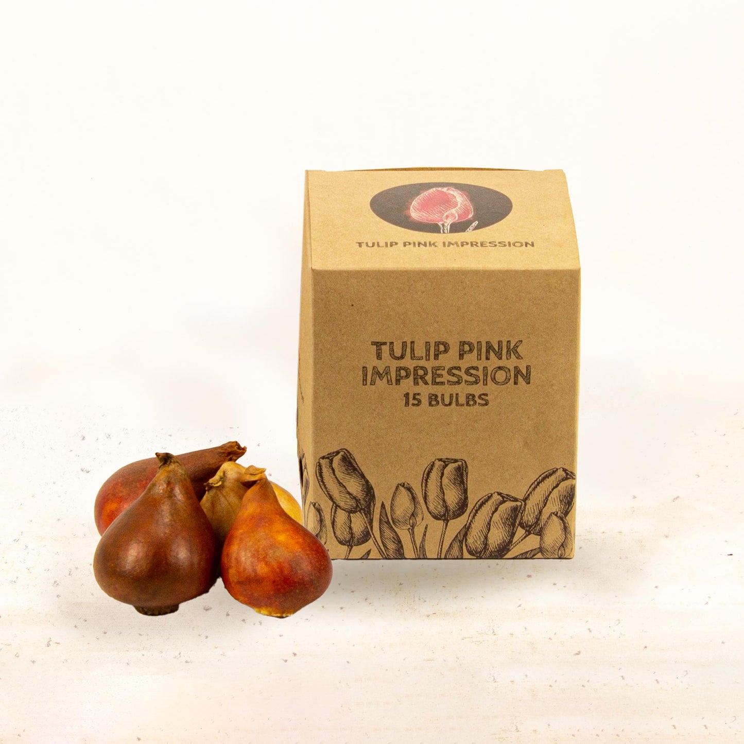 Flowerbulbs Amsterdam - Pink Impression - 15 Blumenzwiebeln - Größe 12+ - Pflanzfix24