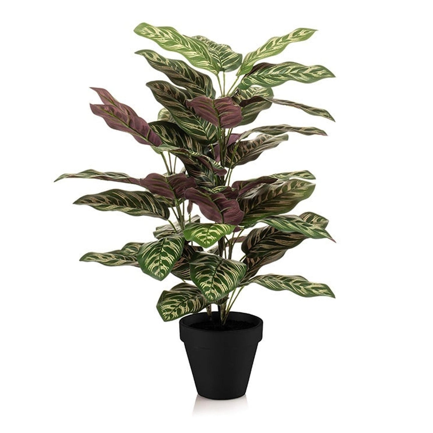 Calathea in pot - Kunstplant 65 cm - Pflanzfix24
