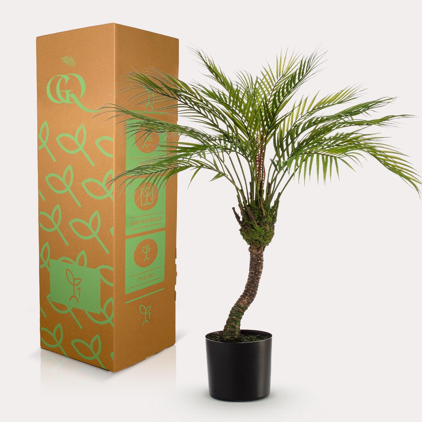 Kunstpalme Chamaedorea Elegans 85 cm – Pflanzfix24.de - Pflanzfix24.de